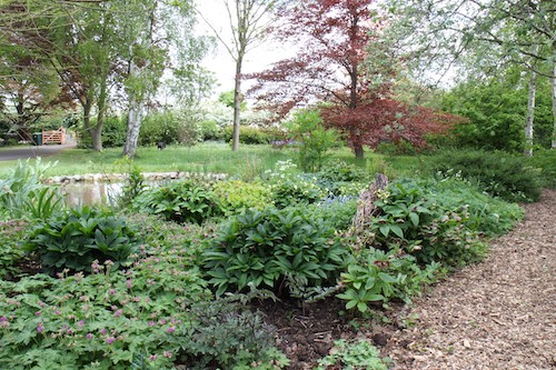 Photo of the front garden