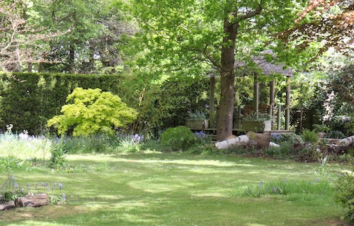 Photo of the jungle hut