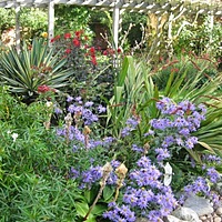 Putting the garden to bed for winter