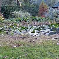 Late autumn colour at Charnwood
