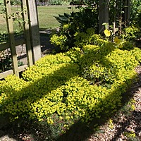 National Garden Scheme opening days 2012