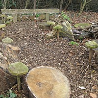 Stumpery now Properly Designed!
