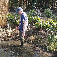 Peter in the pond
