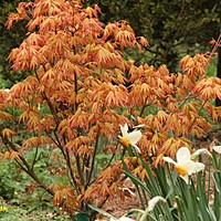 Good colour combinations 1: white, orange, blue