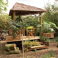 NGS garden opening at Charnwood great success despite the rain!