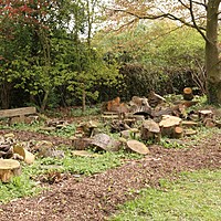 NGS garden opening at Charnwood great success despite the rain!